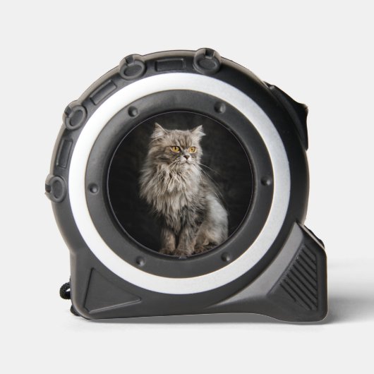 灰色のふわふわ猫 メジャー (正面)