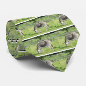 灰色のろば ネクタイ (ロール)