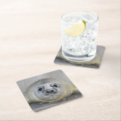 灰色のアザラシの子 スクエアペーパーコースター (インサイチュ)