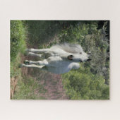 灰色のアブランニングラブの花とパス ジグソーパズル (横)