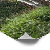 灰色のアブランニングラブの花とパス ポスター (角)