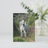 灰色のアブランニングラブの花とパス ポストカード (スタンド正面)