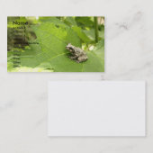 灰色のアマガエル 名刺 (正面/裏面)