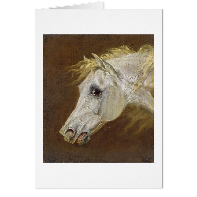 灰色のアラビアの馬(鍋の頭部のキャンバスの油 (正面)