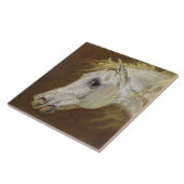 灰色のアラビアの馬(鍋の頭部のキャンバスの油 タイル (側面)