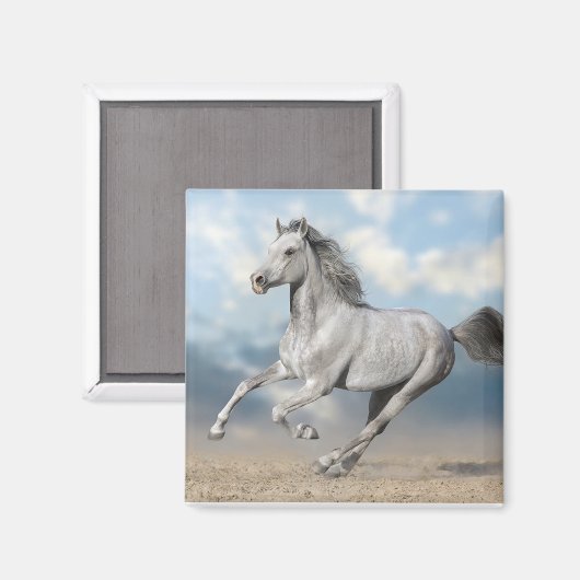 灰色のアラビア馬が砂地を駆け抜ける マグネット (正面/裏面)