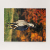 灰色のアラブ人が秋に立つ背景 ジグソーパズル (横)