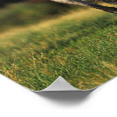 灰色のアラブ人が秋に立つ背景 ポスター (角)