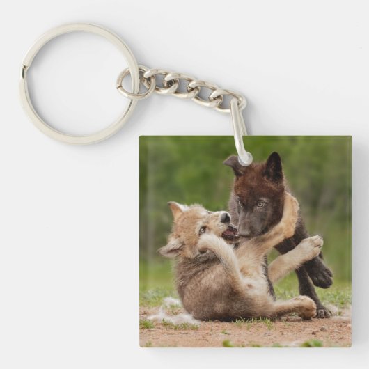 灰色のオオカミの子犬のレスリング キーホルダー (正面)