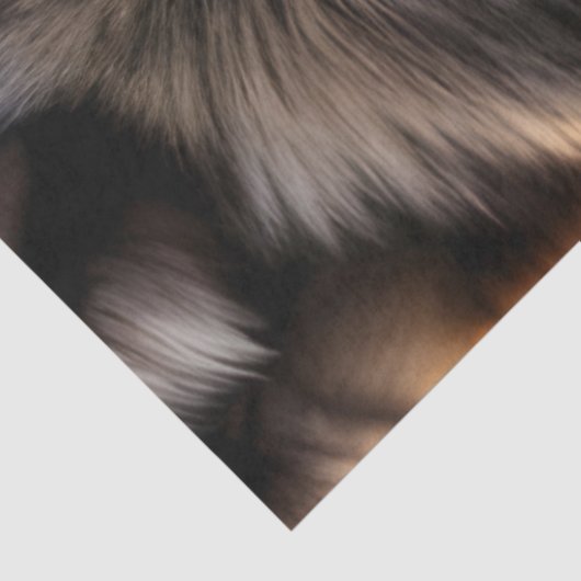 灰色のオオカミの視線と紫の花 薄葉紙 (詳細)