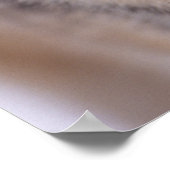 灰色のオオカミ、カニスループス、目を閉じて ポスター (角)