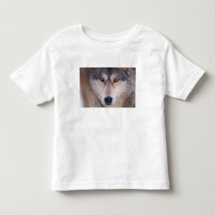 灰色のオオカミ、カニスループス、目を閉じる トドラーTシャツ
