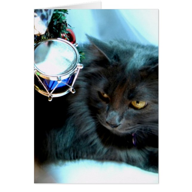 灰色のクリスマスの子猫II (正面)