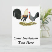 灰色のシャモの組 招待状 (スタンド正面)