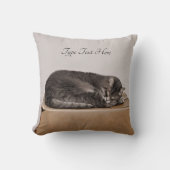 灰色のタビーキャットが箱に寝ている クッション (正面)