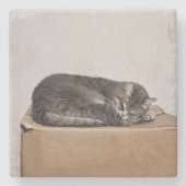 灰色のタビーキャットが箱に寝ている ストーンコースター (正面)