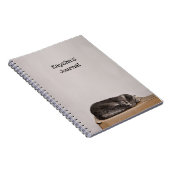 灰色のタビーキャットが箱に寝ている ノートブック (右側)