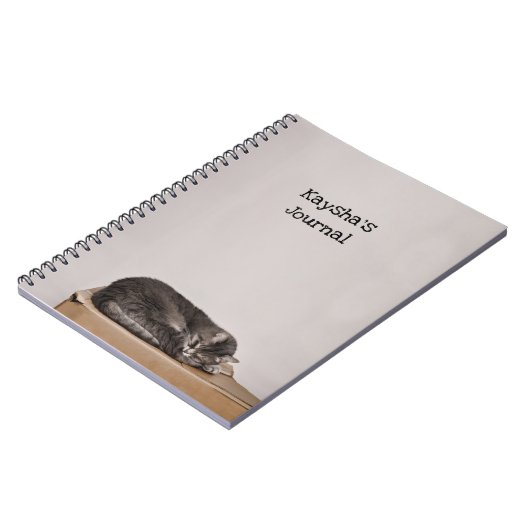 灰色のタビーキャットが箱に寝ている ノートブック (左側)