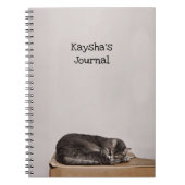 灰色のタビーキャットが箱に寝ている ノートブック (正面)