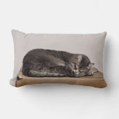 灰色のタビーキャットが箱に寝ている ランバークッション (正面)