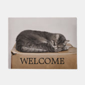 灰色のタビーキャットオンボックスウェルカム ドアマット (正面)