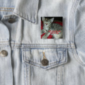 灰色のトラ柄の子猫に鼻をブォップ 缶バッジ (インサイチュ)