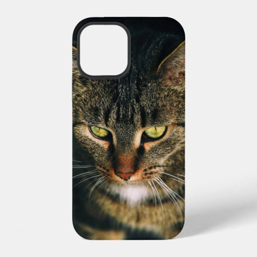 灰色のトラ猫のクローズアップ写真 iPhoneケース (裏面)