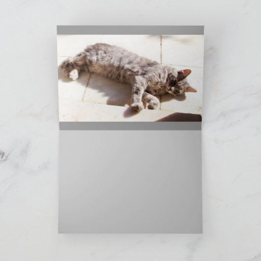 灰色のトルコ猫 カード (内部)
