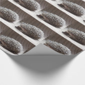 灰色のベビーのハリネズミ ラッピングペーパー (角)