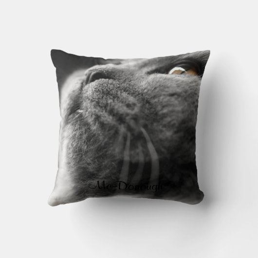 灰色のペルシャ クッション (裏面)