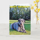 灰色のラーチャーのカスタマイズ可能な挨拶状 カード (黄色い花)