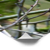 灰色のリスが木に座っている ポスター (コーナー)