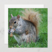 灰色のリスの招待状 招待状 (正面/裏面)