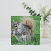 灰色のリスの招待状 招待状 (スタンド正面)