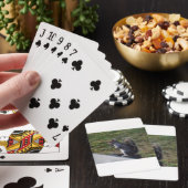 灰色のリス トランプ (インサイチュ)