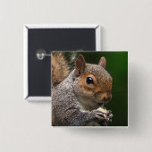 灰色のリス 缶バッジ (正面&裏面)