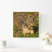 灰色のリス、食べ物、ピーナツ、Crystal Springs 1 スクエア壁時計 (ホーム)