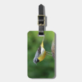 灰色のワグテール – 鳥 ラゲッジタグ (正面縦)