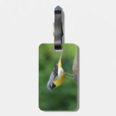 灰色のワグテール – 鳥 ラゲッジタグ (裏面縦)