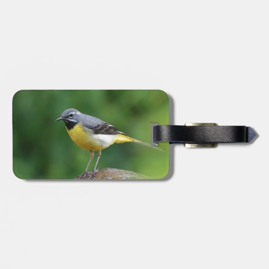 灰色のワグテール – 鳥 ラゲッジタグ (裏面横)