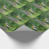 灰色のワグテール – 鳥 ラッピングペーパー (角)