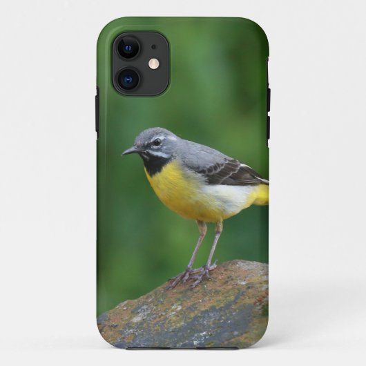 灰色のワグテール – 鳥 Case-Mate iPhoneケース (裏面)