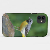 灰色のワグテール – 鳥 Case-Mate iPhoneケース (裏面(横))