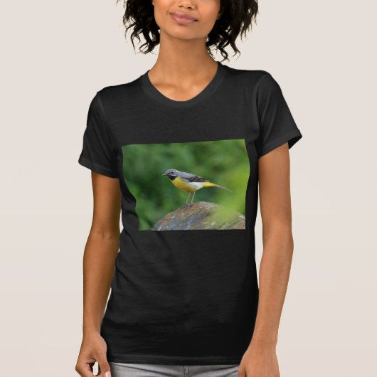 灰色のワグテール – 鳥 Tシャツ (正面)