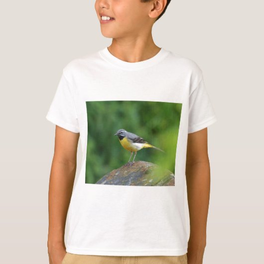 灰色のワグテール – 鳥 Tシャツ (正面)