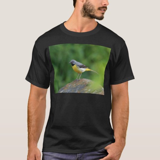 灰色のワグテール – 鳥 Tシャツ (正面)