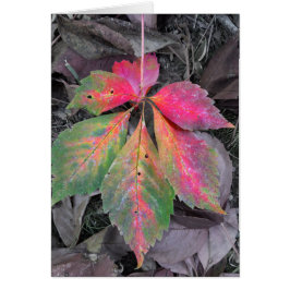 灰色の中の輝き – 秋の葉