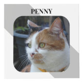 灰色の写真の猫の思い出のペットメモリアル フォトキューブ (正面)