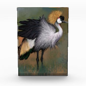 灰色の冠を付けたクレーンバードフォトブロック フォトブロック (正面)