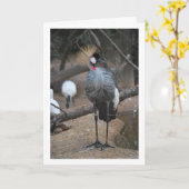 灰色の冠を持つクレーンアフリカ鳥 カード (黄色い花)